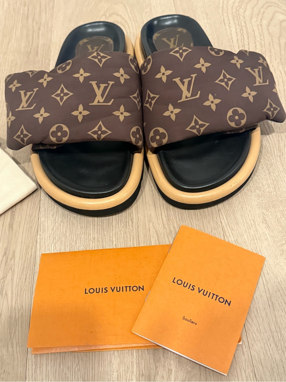 Louis Vuitton pool pillow comfort mule sandals